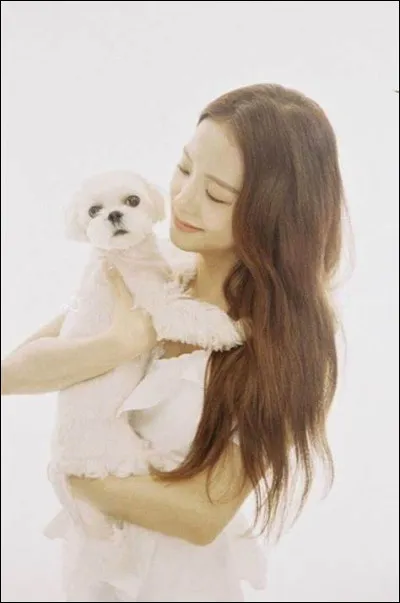 Quelles seraient les qualités de ton animal ?