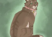 Quiz LGDC - Les chats domestiques