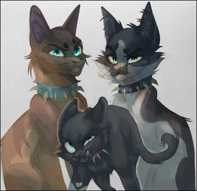 Commençons facile. Certains chats domestiques ont rejoint un bande de chats errants qui colonisent la ville. On les appelle le Clan du Sang. Qui en sont les deux principaux dirigeants ?