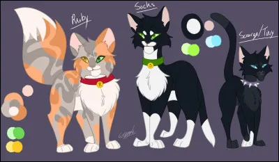 Deux autres chats, un peu connus : Ruby et Socks. Pour quelle raison ont-ils harcelé leur petit frère, Tiny ?