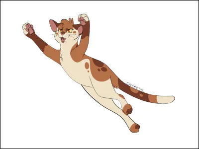 On sait que certains membres du Clan du Ciel étaient chats domestiques, Aile de Cerise par exemple. D'ailleurs, comment elle et son frère (Plume de Merle) avaient-ils "baptisé" il du Ciel, le dernier descendant sauvage du Clan du Ciel ?