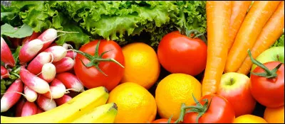 Il est conseillé de diversifier l'alimentation de son chien en lui proposant des fruits, des légumes ou de la viande en plus de ses croquettes.