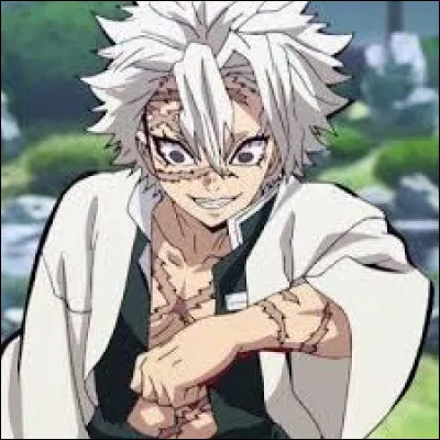 Sanemi est le pilier de/du :