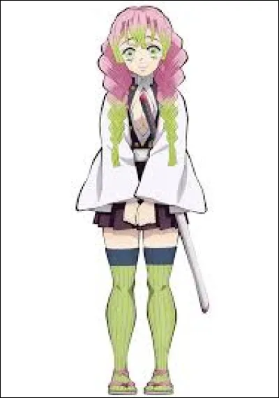 Mitsuri est le pilier de/du :