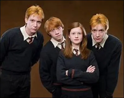 Quel est votre principal défaut ?