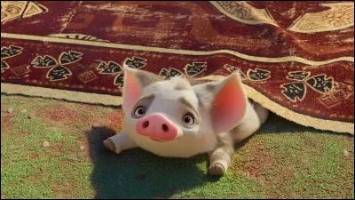 Comment son meilleur ami (animal) s'appelle-t-il ?