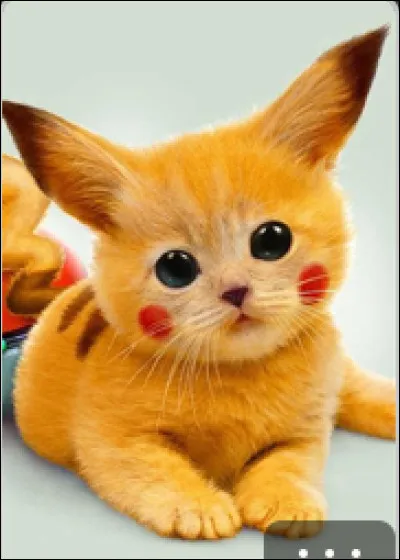 Aimes-tu aller jouer dehors ?