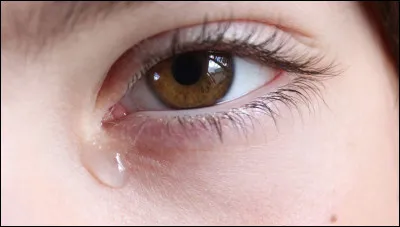 Quelle mort t'a le plus peiné ?