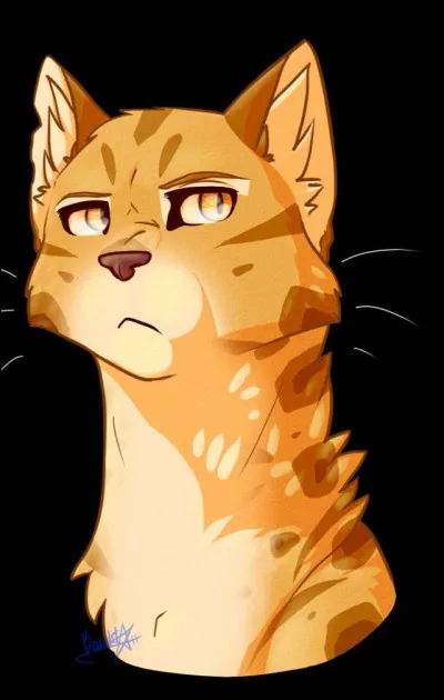 Étoile du Léopard : cycle 3 ou 4
Comment meurt-elle ?