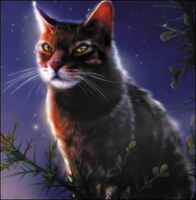 Étoile du Vent : cycle 5 
Mâle ou femelle ?