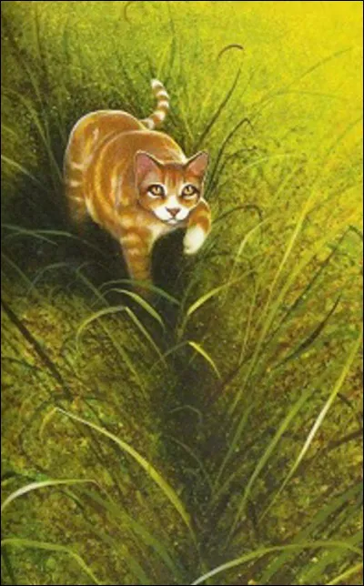 Étoile Solitaire : cycle 2-6 ou 7
Quel fut son nom de guerrier ?