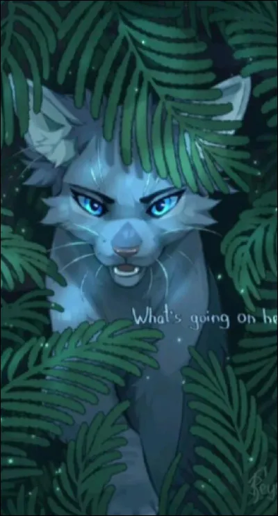 Étoile Bleue : cycle 1
Avec qui a-t-elle eu des chatons ?