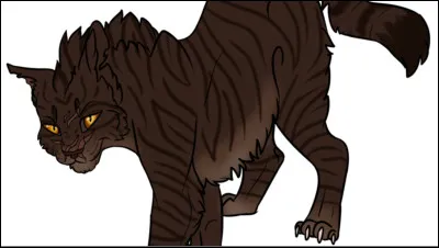 Étoile Brisée : cycle 1
Qui l'a tué ?