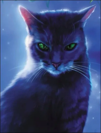 Étoile de lOmbre : cycle 5 
Doù vient-elle ?