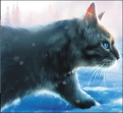 Étoile du Ciel : cycle 5 
Qui est son frère venant de la même portée que lui ?