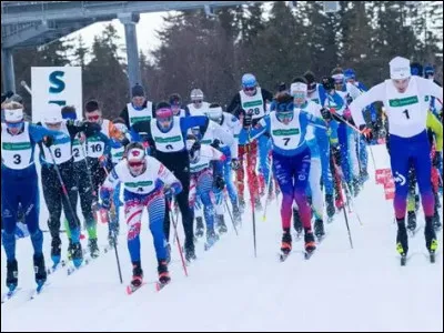 Rions un peu ! > À l'instar de celle du lapereau, le lama souffre lui aussi - bien qu'assez rarement - d'un symptôme [lequel ?] évoquant une pratique sportive illustrée ci-dessus...