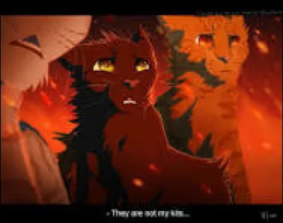 Et tu as certainement des d&eacute;fauts, comme tous. Alors, quels sont tes d&eacute;fauts, parmi ceux-ci ?