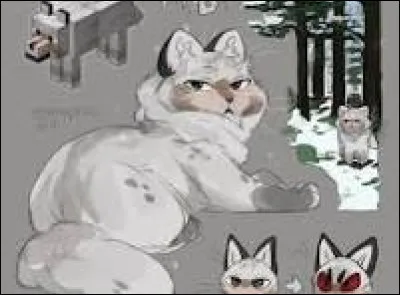 Si tu &eacute;tais un chat, quel pelage voudrais-tu ?