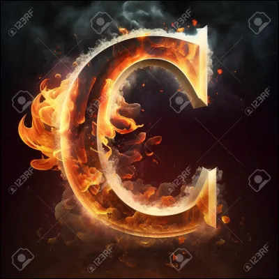 Christian signifie :