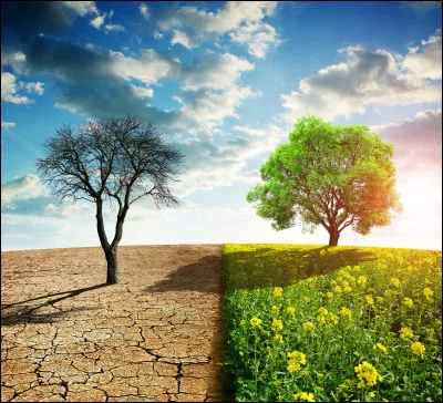 Quel type de climat préfères-tu ?