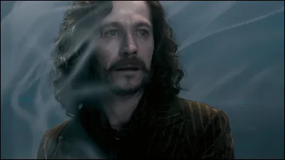 Maintenant Sirius Black (Harry Potter et l'Ordre du Phoenix)
Qui a retenu Harry lorsqu'il voulait sauver Sirius en se persuadant qu'il n'était pas mort ?