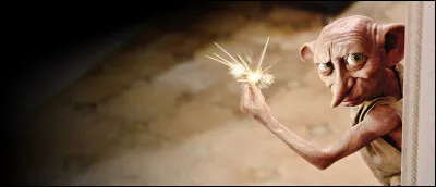 Dobby (Harry Potter et les reliques de la mort - partie 2)
Qu'a fait Harry après sa mort ?