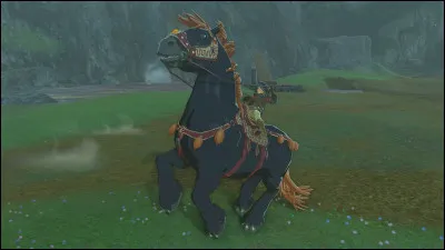 Ce cheval est aussi bien connu pour sa taille que pour sa couleur, évoquant lun des antagonistes du jeu qui nest pas son véritable propriétaire. Qui est-ce donc ?