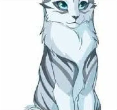 Aimes-tu ce pelage ?