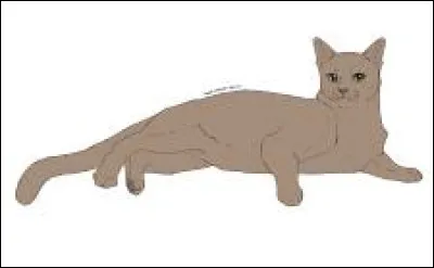 D'accord, et celui-ci ?