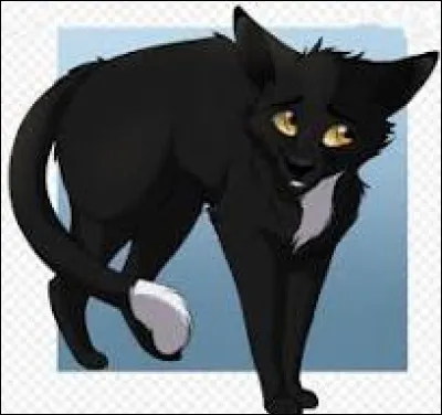 Et lui, l'aimes-tu ?