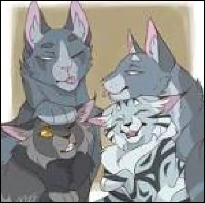 D'accord, et tu pr&eacute;f&egrave;res les pelages...