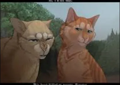 Comment agis-tu avec tes camarades ?