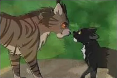 Tu es plut&ocirc;t du genre &agrave;...