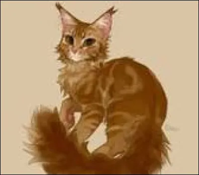 Oh non ! Une cervelle de souris : tu voles ta proie que tu chassais ! Que fais-tu ?