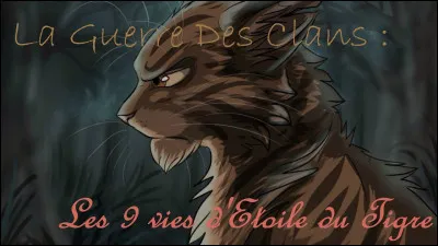 Etoile du Tigre est le seul petit de Patte de Léopard.