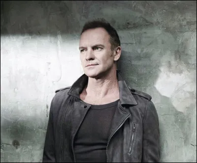 Le chanteur Sting ("dard de guêpe" en français) a été surnommé ainsi alors qu'il portait sur scène un pull noir à rayures jaunes.