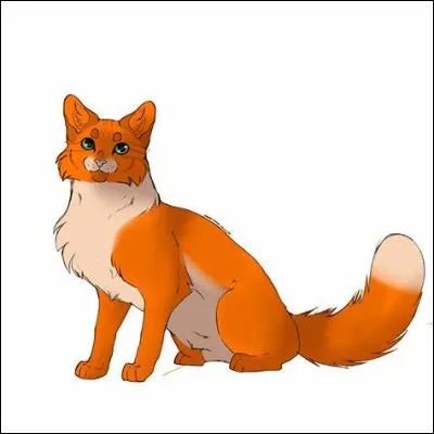 Bien ! Quelle est ta principale qualité ?