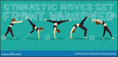 Que représente cette image ?