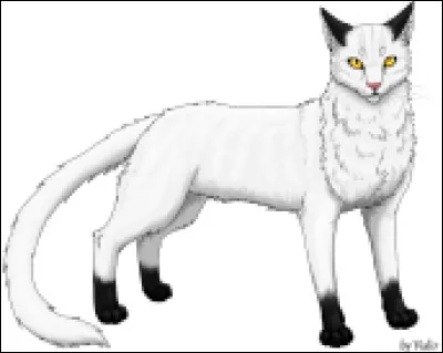 Dans cette saga, plusieurs auteurs se réunissent sous un seul nom.