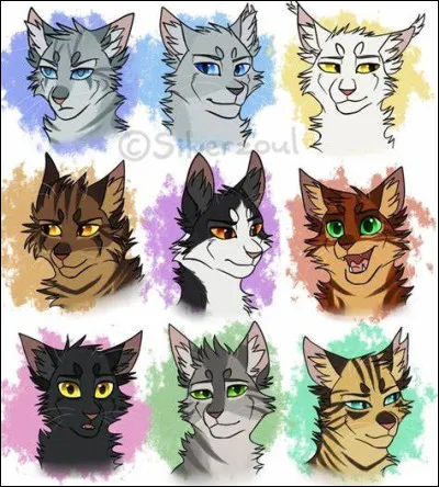 Dans cette saga, les clans se battent et peuvent s'allier :