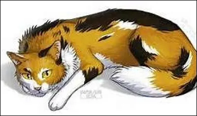 Dans cette saga, certains personnages ont des pouvoirs :