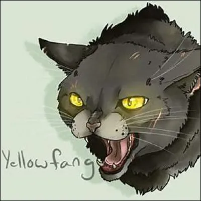 Cette saga est interminable :