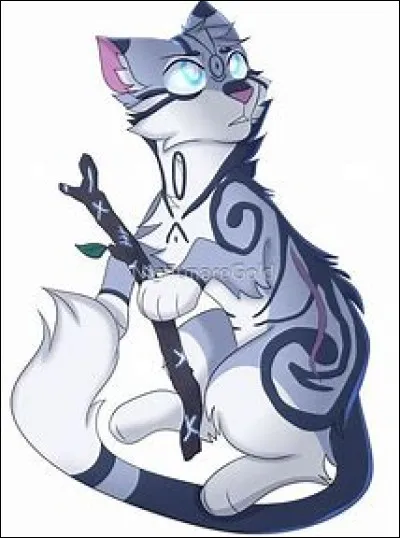 Tu es guerrier/guerri&egrave;re ! Ou gu&eacute;risseur/gu&eacute;risseuse. Quel sera ton nom ?