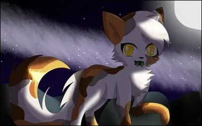 Auras-tu des chatons ? (Que tu sois m&egrave;re ou p&egrave;re.)