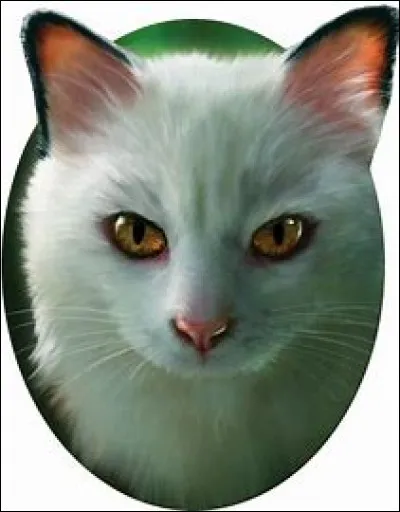 &Agrave; pr&eacute;sent, il te demande &agrave; quoi tu veux ressembler.