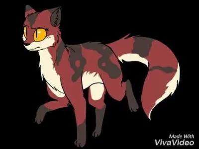 Qui est cette chatte ?