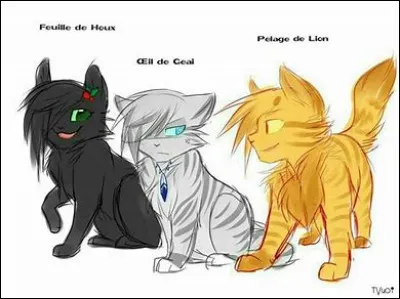 Qui sont ces chats ?