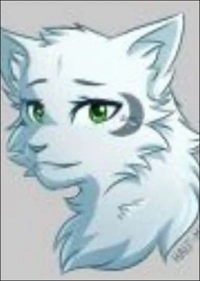 Qui est cette chatte ?