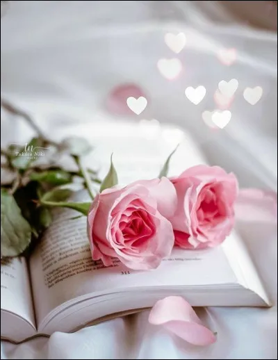 Quel est le livre écrit par Albertine Sarrazin ?