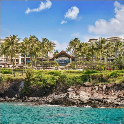 Tes vacances de rêve seraient à...